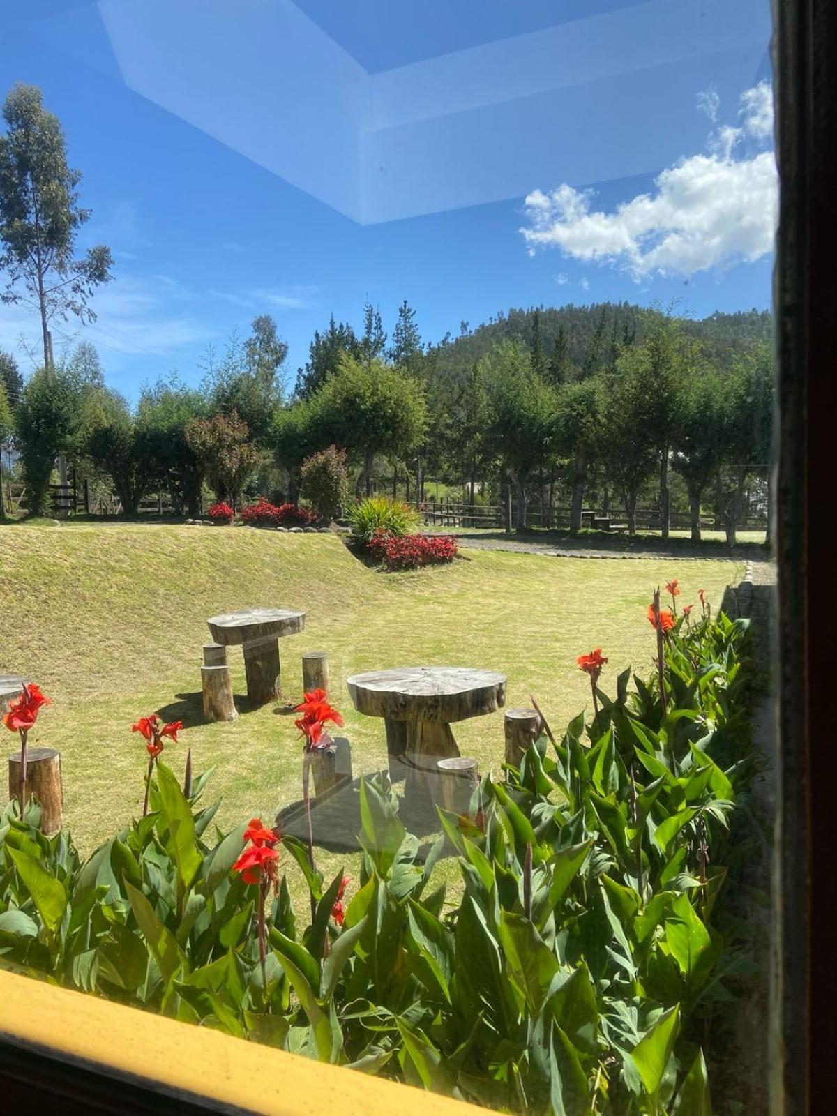 קאימבה Cottage house מראה חיצוני תמונה